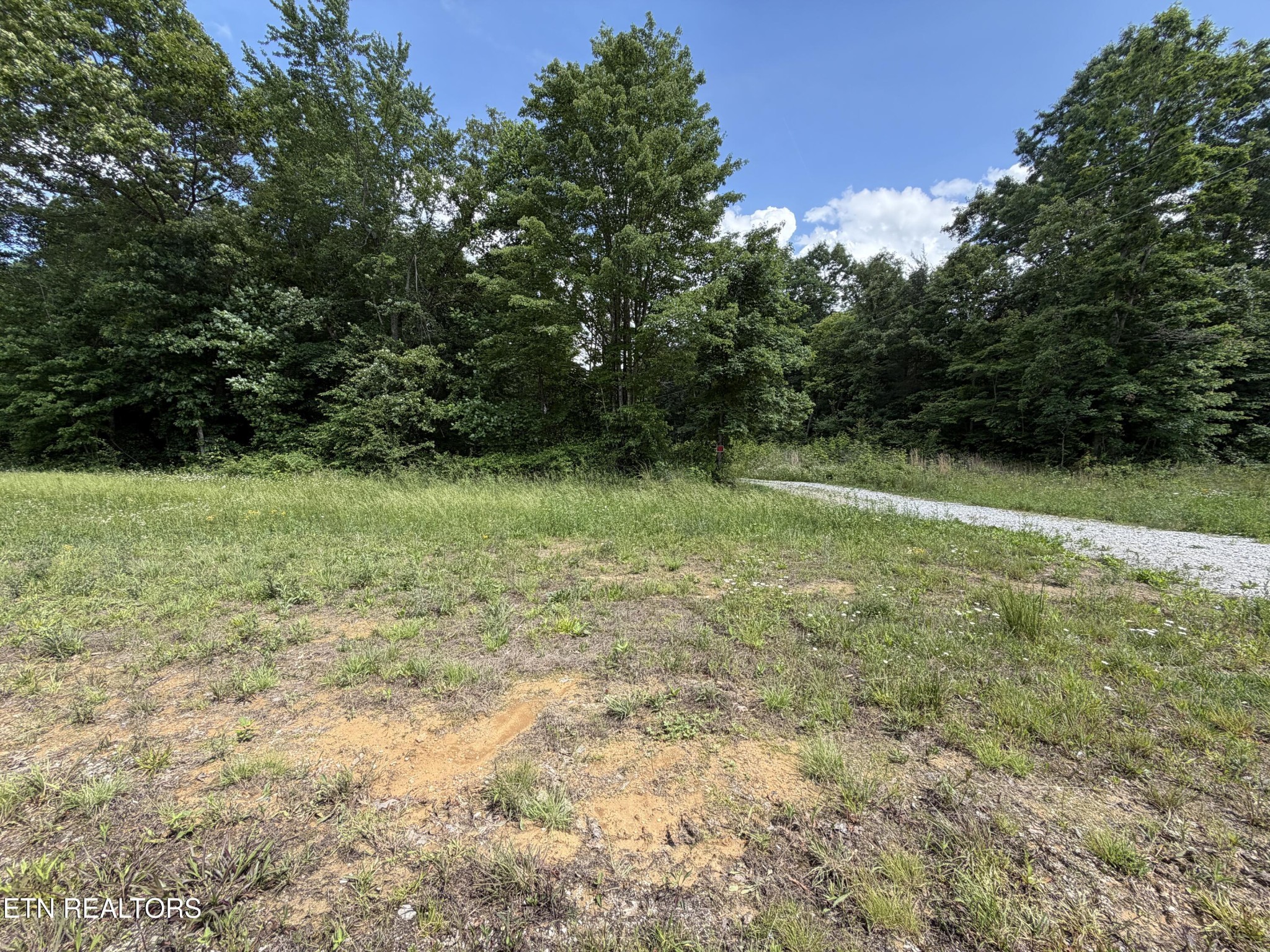 768 Remington Road Jamestown, TN 38556 - Photo 1 of 6 Gallery Image 1