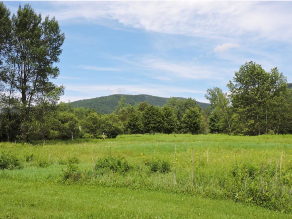 329 Tyler Bridge Road Hinesburg, VT 05461 - Photo 18 of 24 Gallery Image 18