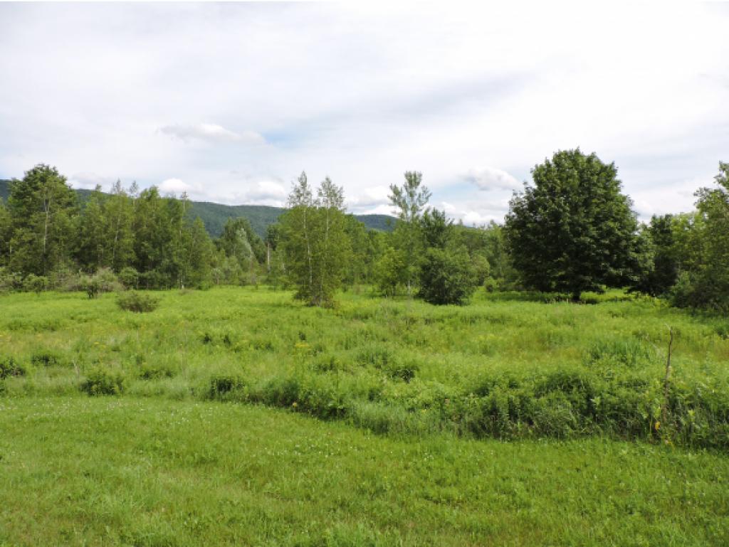 329 Tyler Bridge Road Hinesburg, VT 05461 - Photo 20 of 24 Gallery Image 20