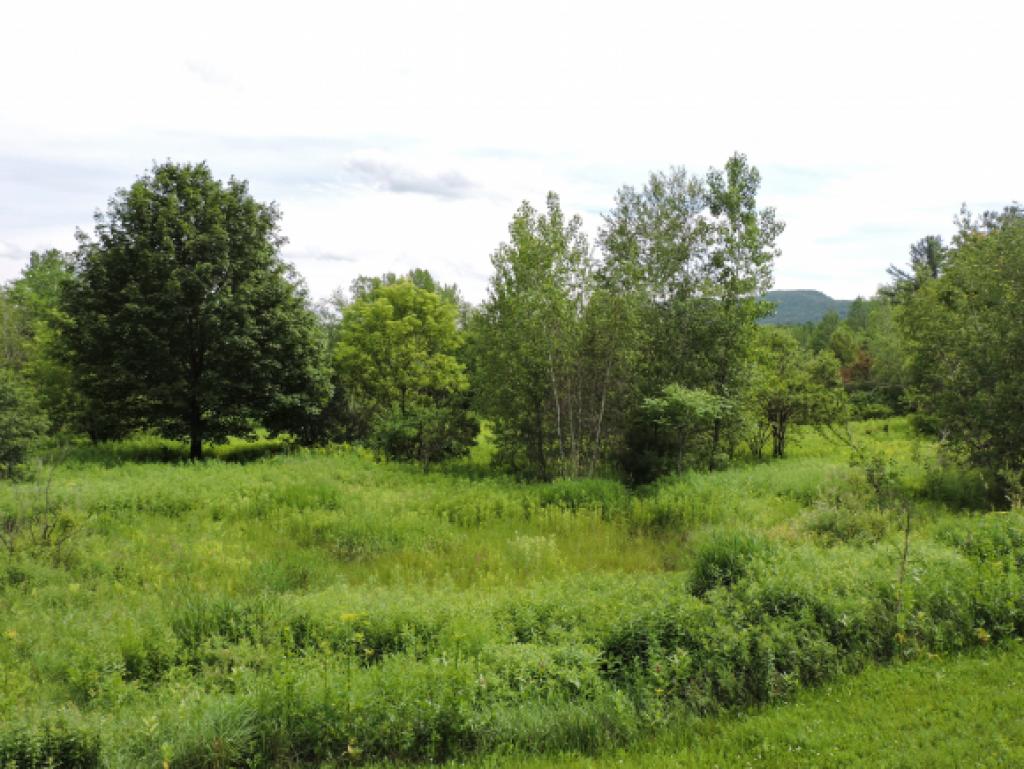 329 Tyler Bridge Road Hinesburg, VT 05461 - Photo 21 of 24 Gallery Image 21