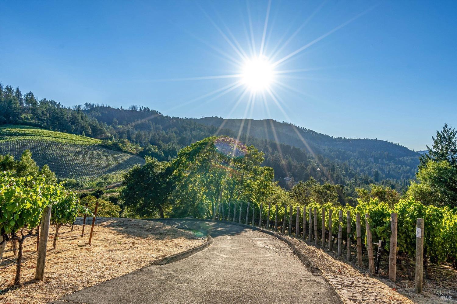 2340 Mt Veeder Road Napa, CA 94558 - Photo 25 of 38