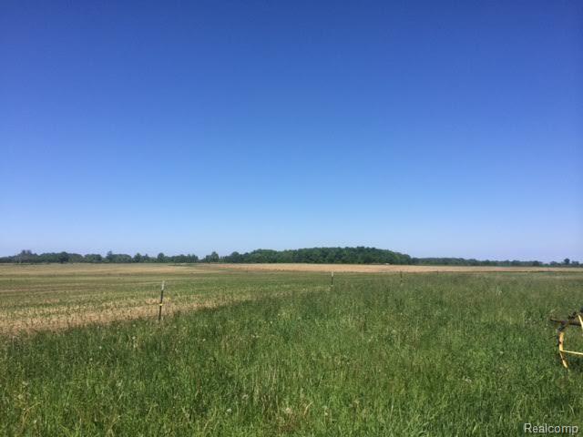 Vl Cork Road Avoca, MI 48006 - Photo 2 of 2