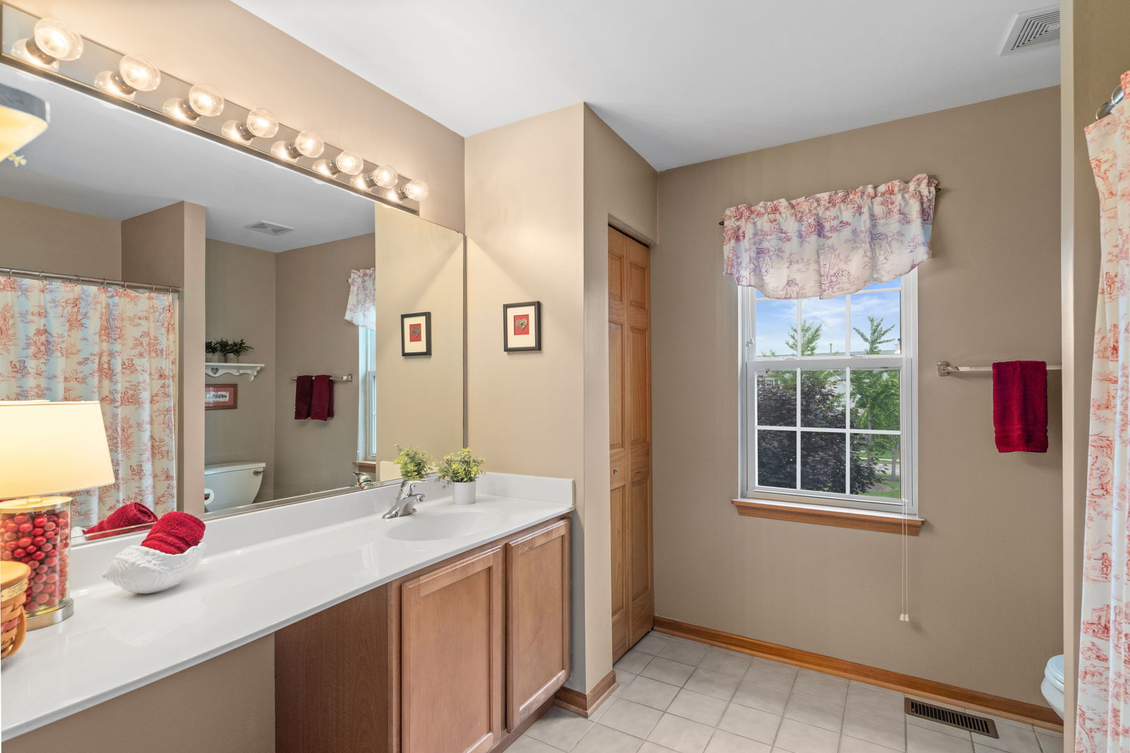 1476 Wildmeadow Road Round Lake, IL 60073 - Photo 19 of 37 a bathroom with a sink and a mirror