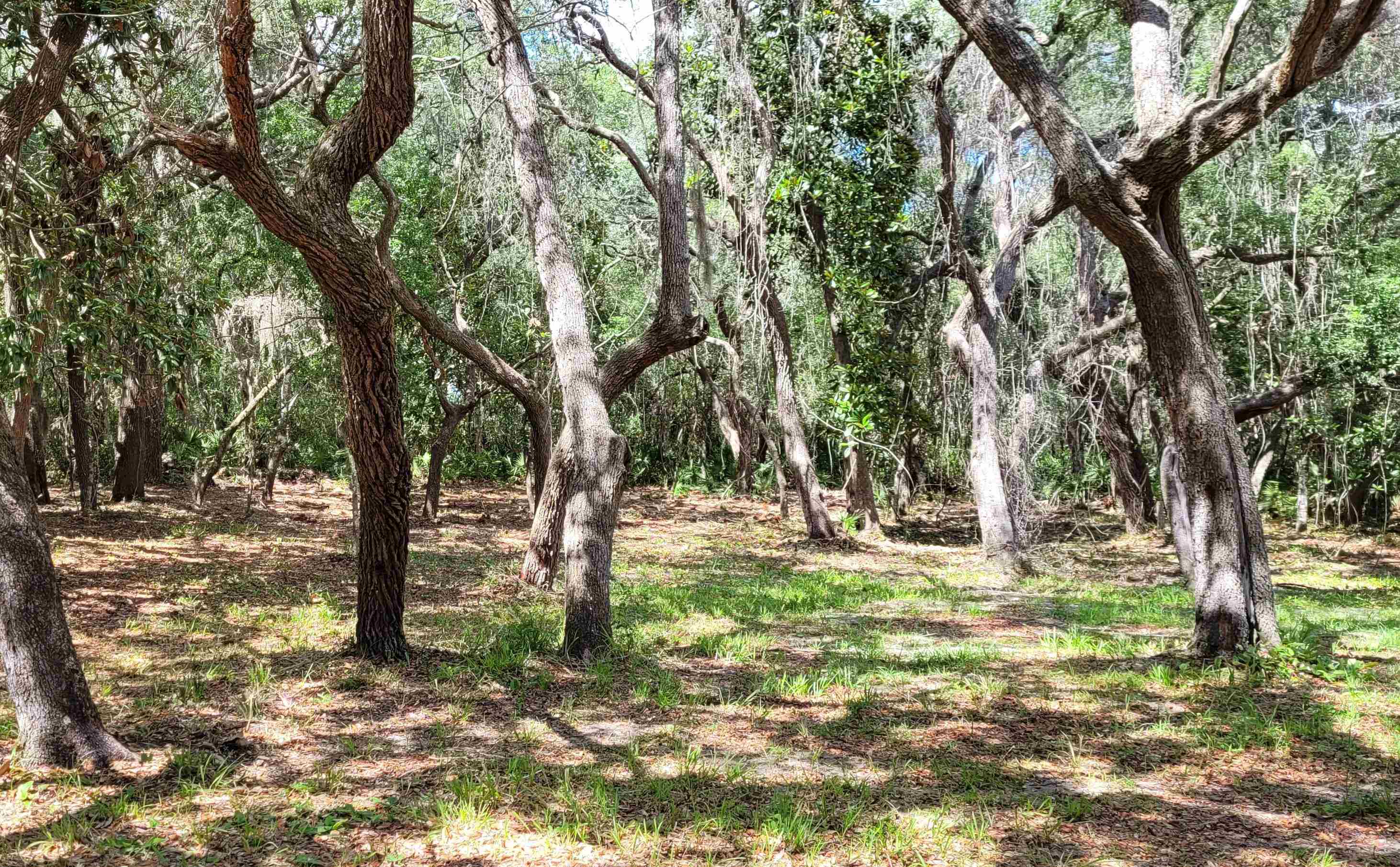 20260 Spoonbill Road Perry, FL 32348 - Photo 5 of 6 Gallery Image 5
