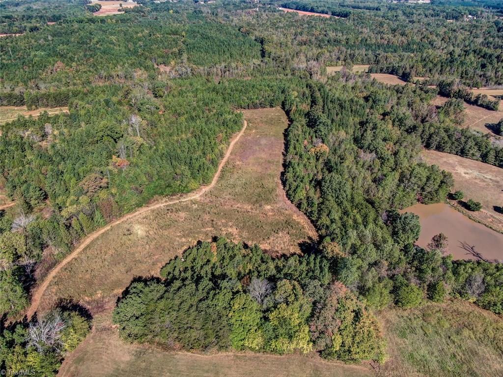 1981 Worsham Mill Road Ruffin, NC 27326 - Photo 27 of 30 Pasture