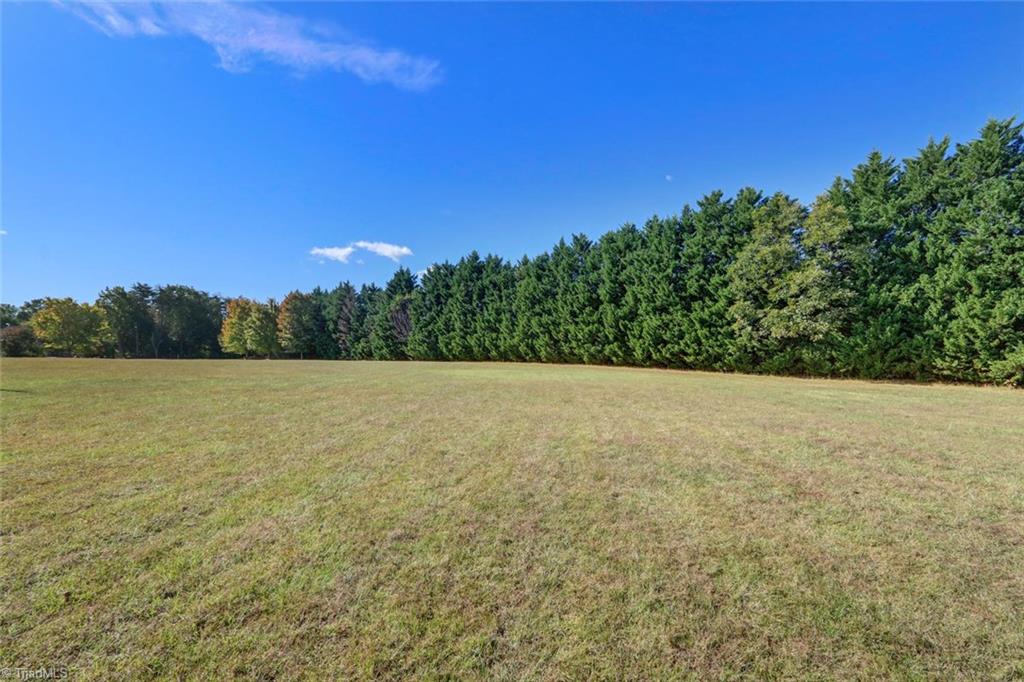 1981 Worsham Mill Road Ruffin, NC 27326 - Photo 29 of 30 Front yard