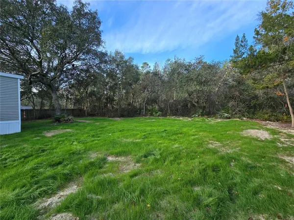 a view of yard with green space