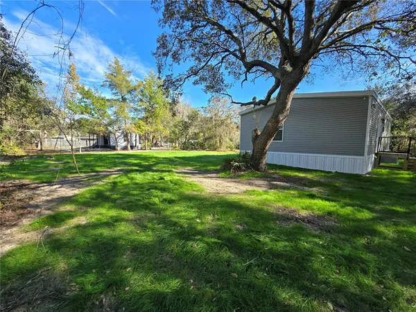 a view of a backyard with large trees