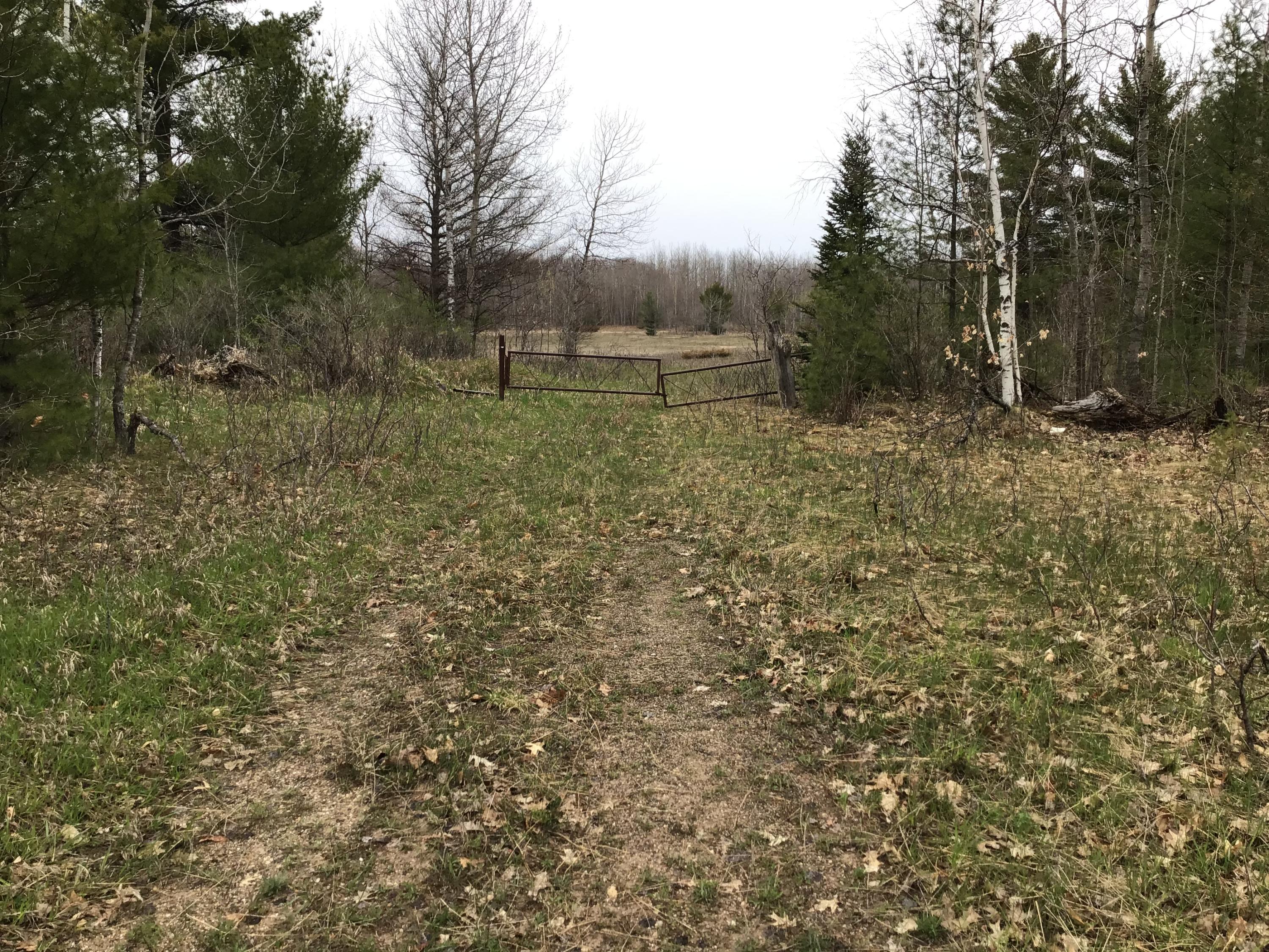 Pallister Road Cheboygan, MI 49721 - Photo 1 of 5 Gallery Image 1