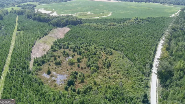 $522,852 | 0 Bethel Church Road, Eastman, GA 31023