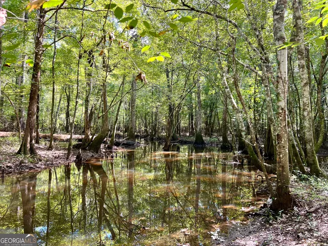 $522,852 | 0 Bethel Church Road, Eastman, GA 31023