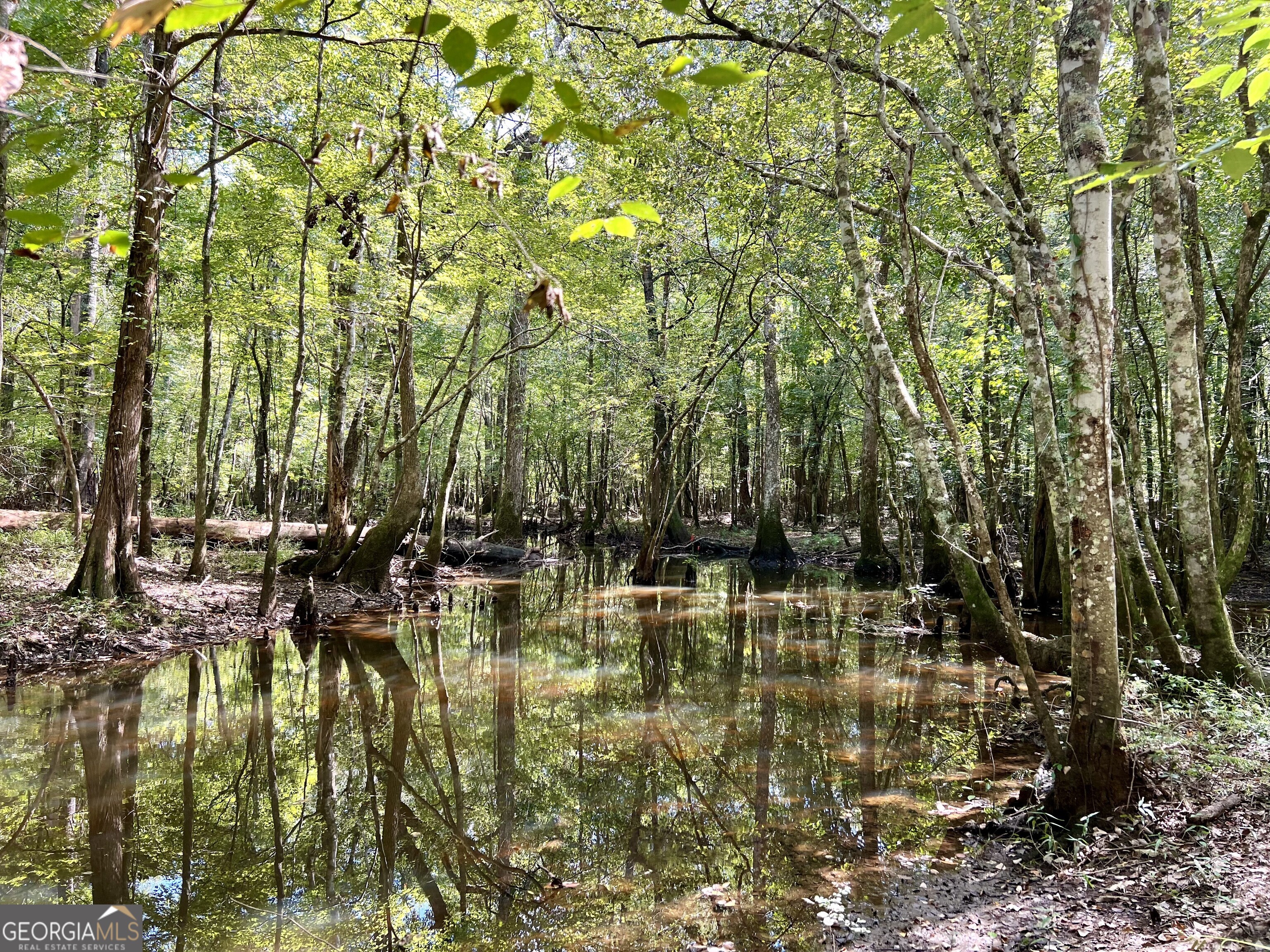 0 Bethel Church Road Eastman, GA 31023 - Photo 11 of 20