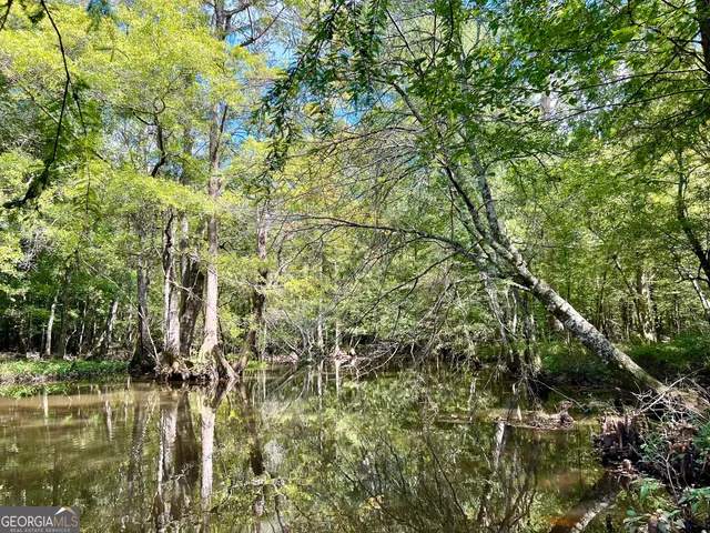 $522,852 | 0 Bethel Church Road, Eastman, GA 31023