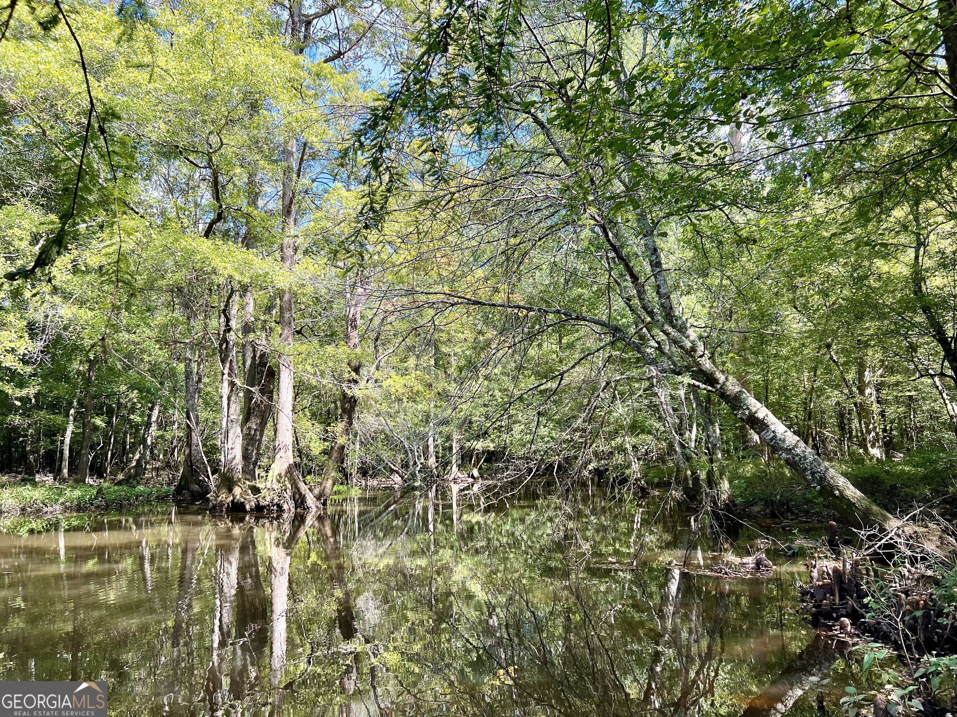 0 Bethel Church Road Eastman, GA 31023 - Photo 12 of 20