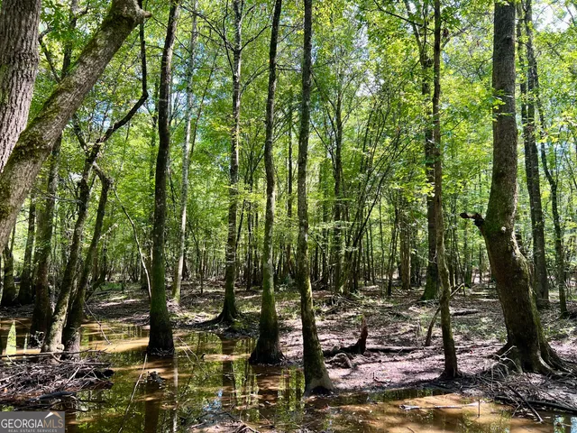 $522,852 | 0 Bethel Church Road, Eastman, GA 31023