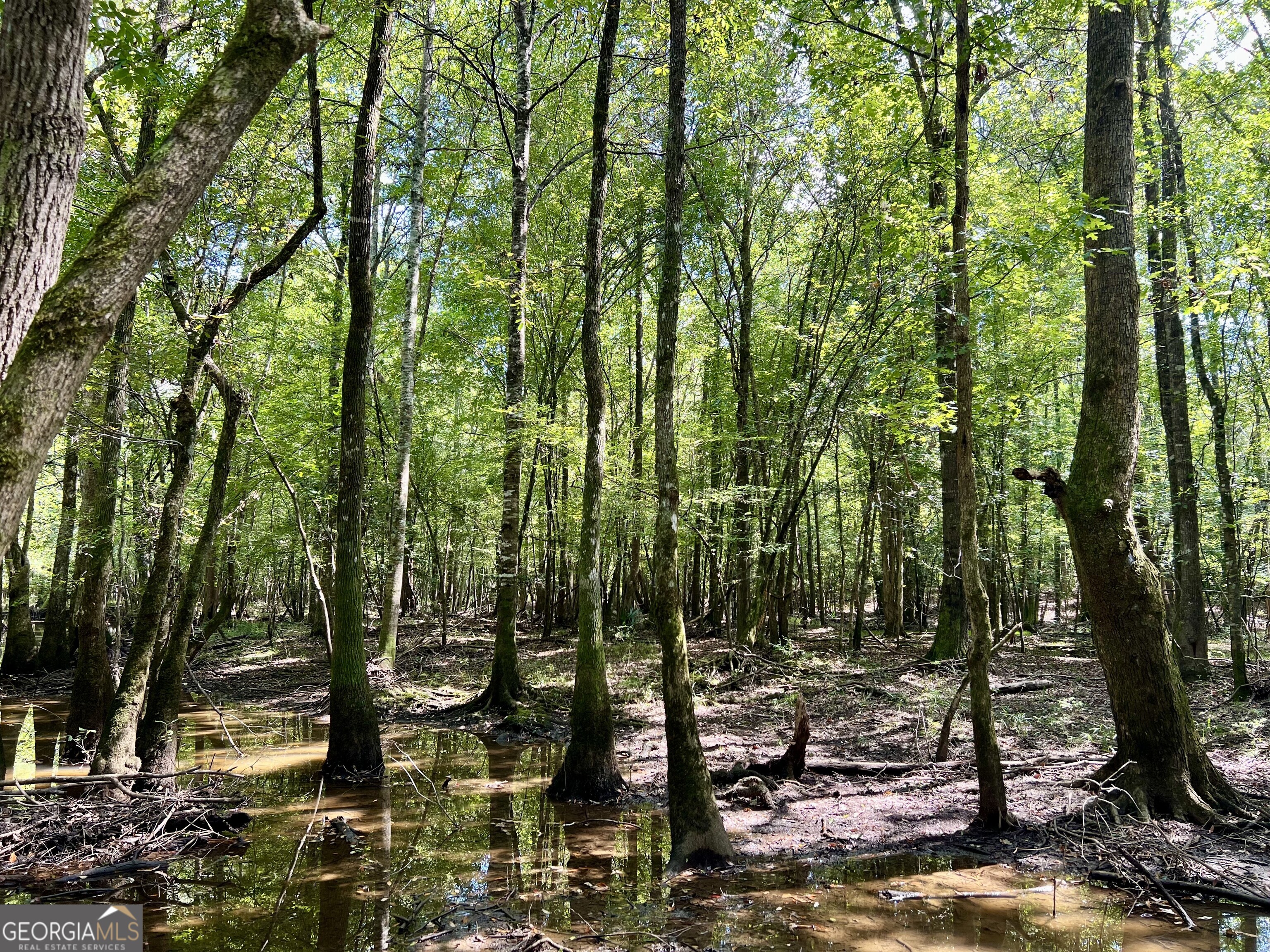 0 Bethel Church Road Eastman, GA 31023 - Photo 13 of 20