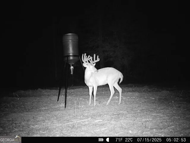 $522,852 | 0 Bethel Church Road, Eastman, GA 31023