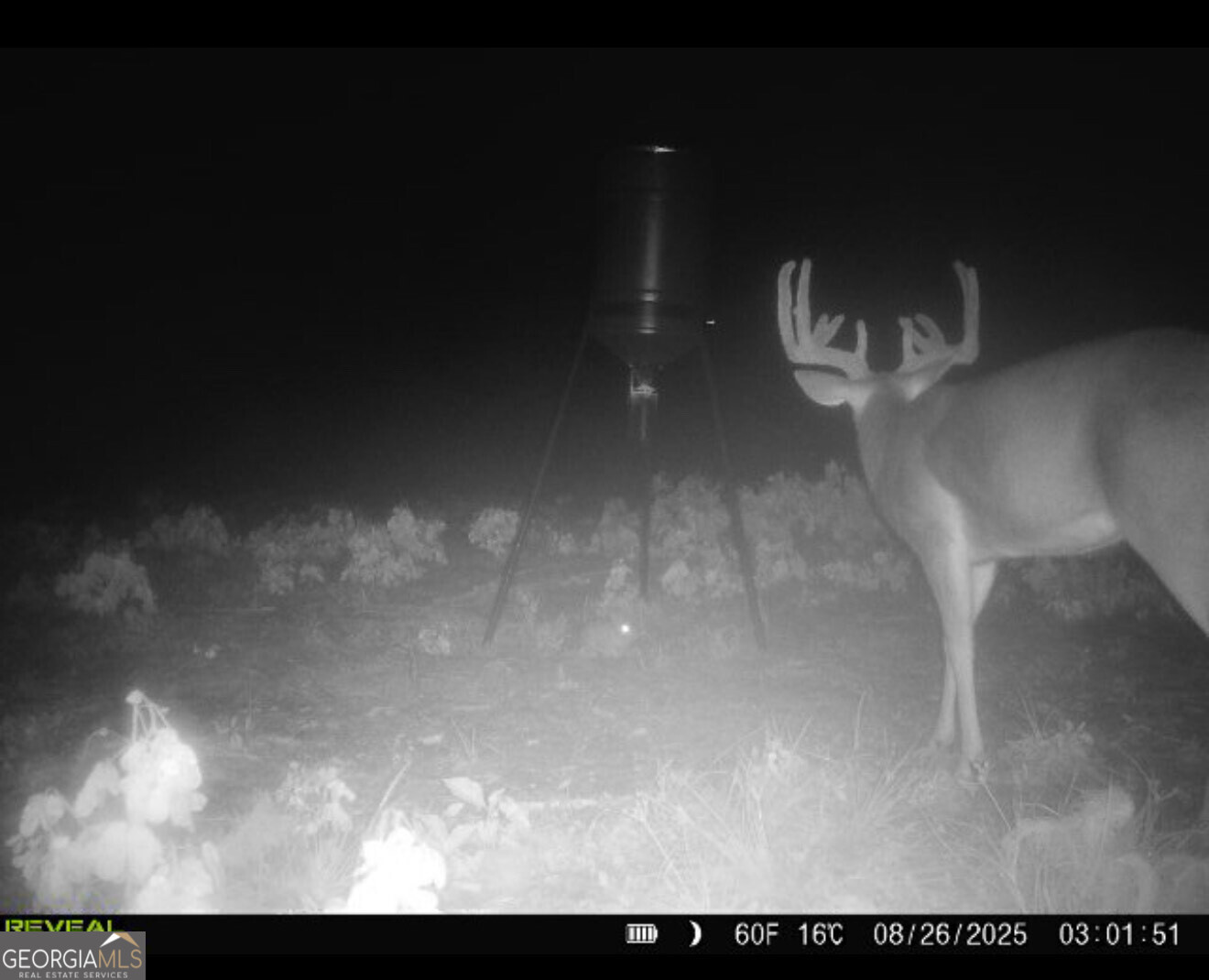 0 Bethel Church Road Eastman, GA 31023 - Photo 15 of 20