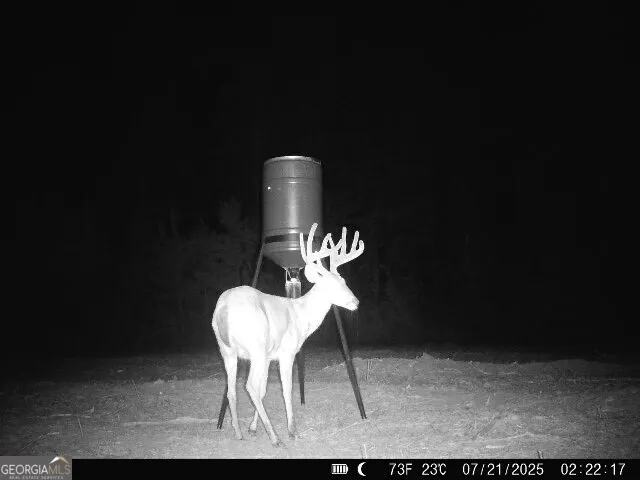 $522,852 | 0 Bethel Church Road, Eastman, GA 31023