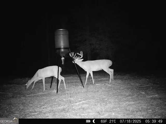 $522,852 | 0 Bethel Church Road, Eastman, GA 31023