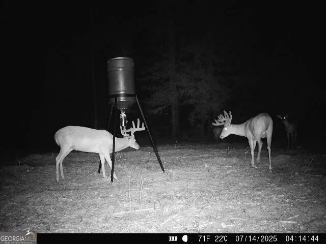 $522,852 | 0 Bethel Church Road, Eastman, GA 31023