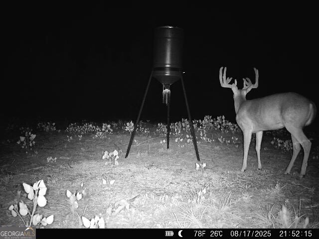 0 Bethel Church Road Eastman, GA 31023 - Photo 19 of 20