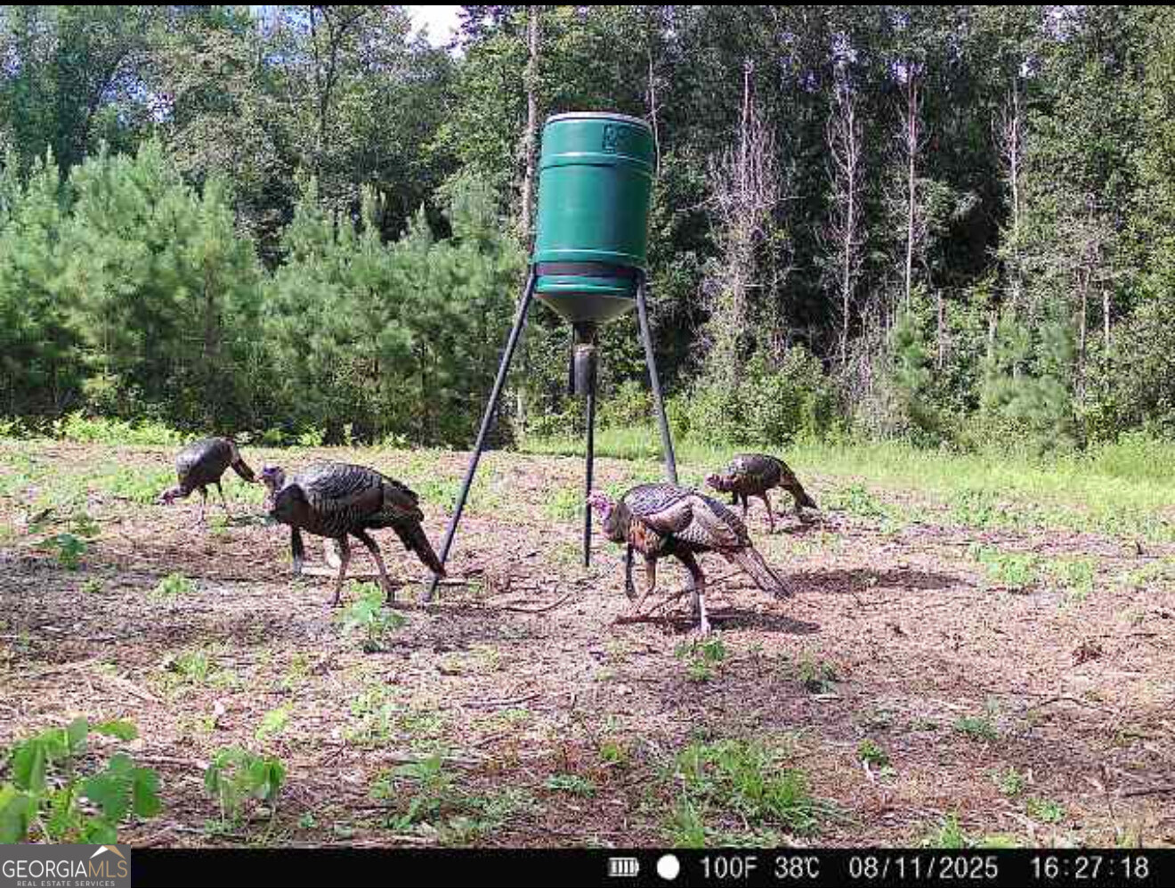 0 Bethel Church Road Eastman, GA 31023 - Photo 20 of 20