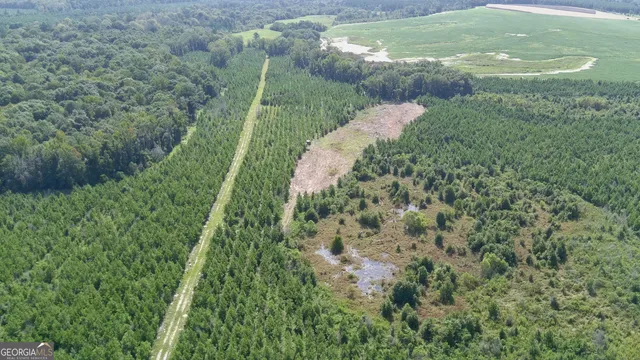 $522,852 | 0 Bethel Church Road, Eastman, GA 31023