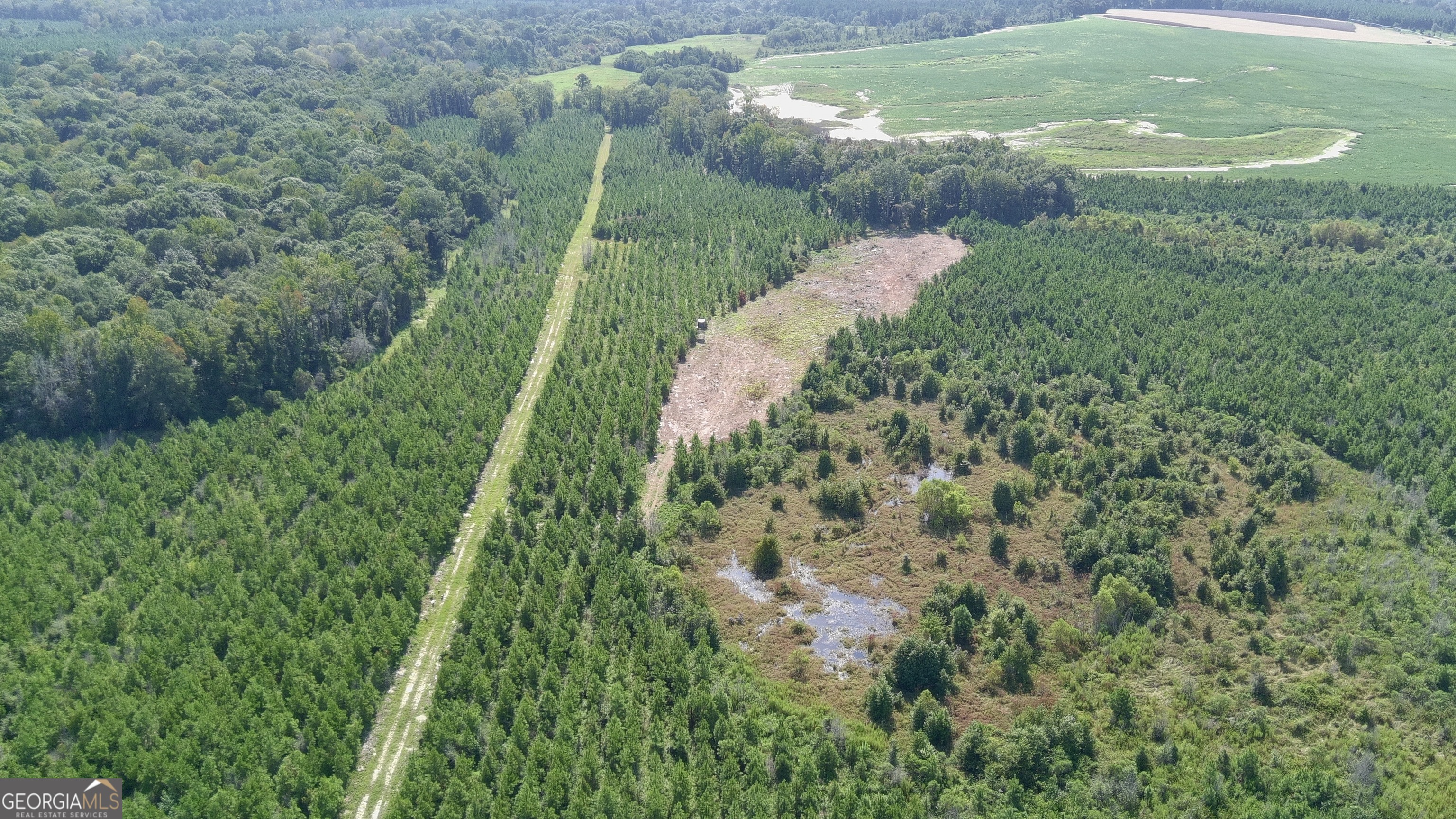 0 Bethel Church Road Eastman, GA 31023 - Photo 2 of 20