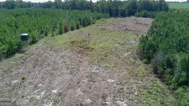 $522,852 | 0 Bethel Church Road, Eastman, GA 31023