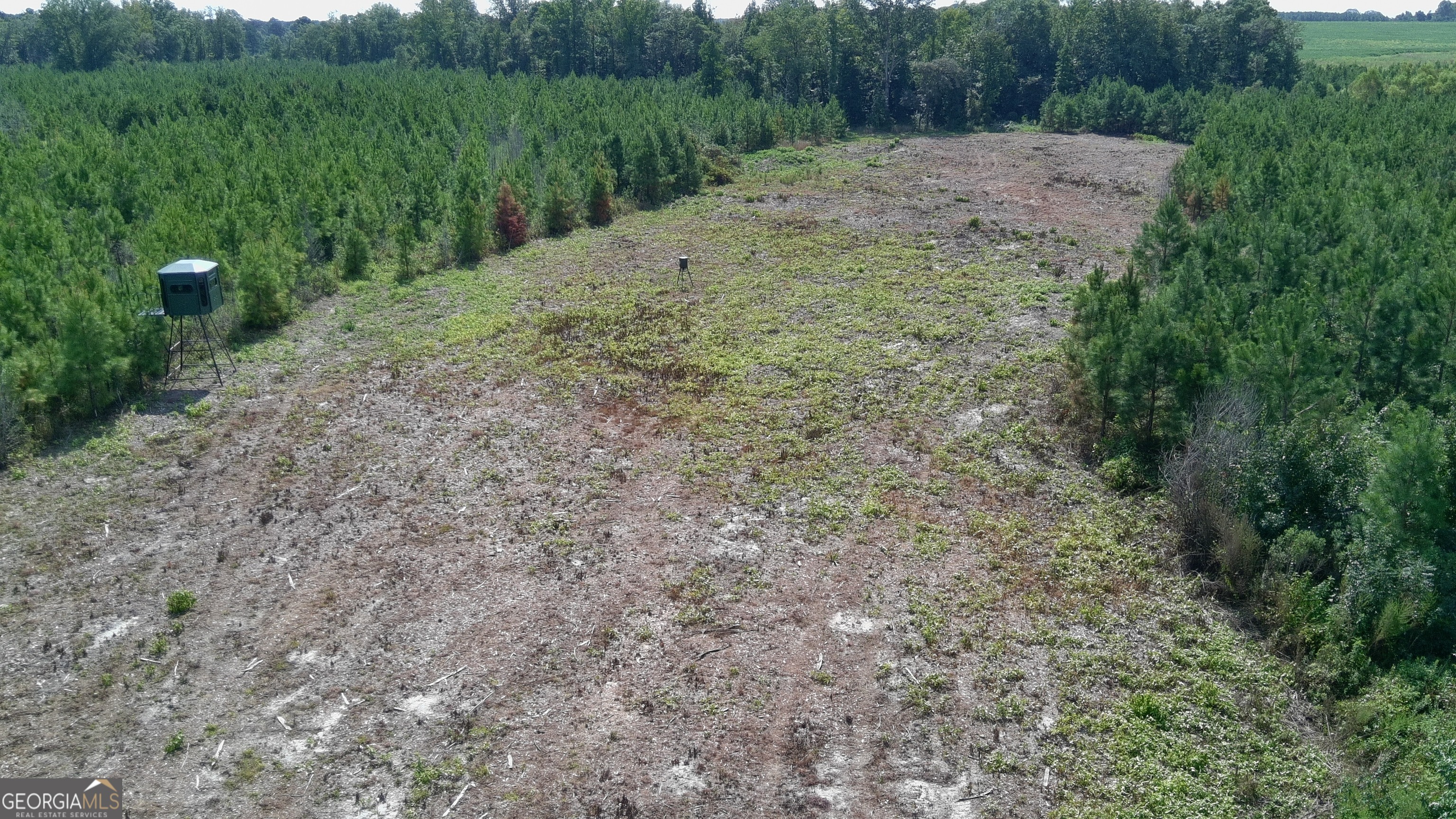 0 Bethel Church Road Eastman, GA 31023 - Photo 3 of 20