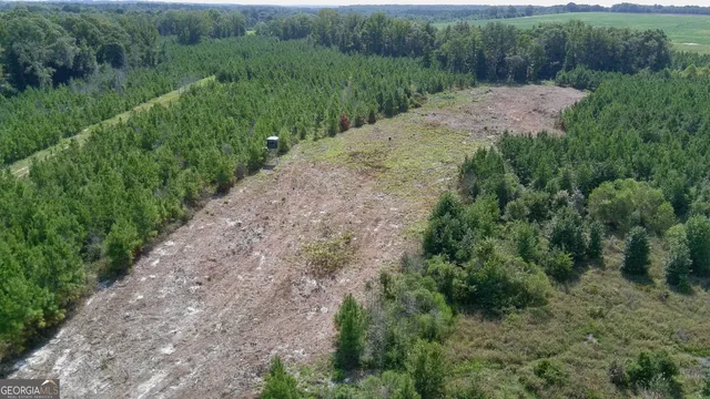 $522,852 | 0 Bethel Church Road, Eastman, GA 31023