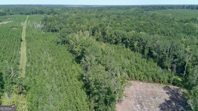 $522,852 | 0 Bethel Church Road, Eastman, GA 31023