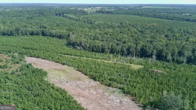 $522,852 | 0 Bethel Church Road, Eastman, GA 31023