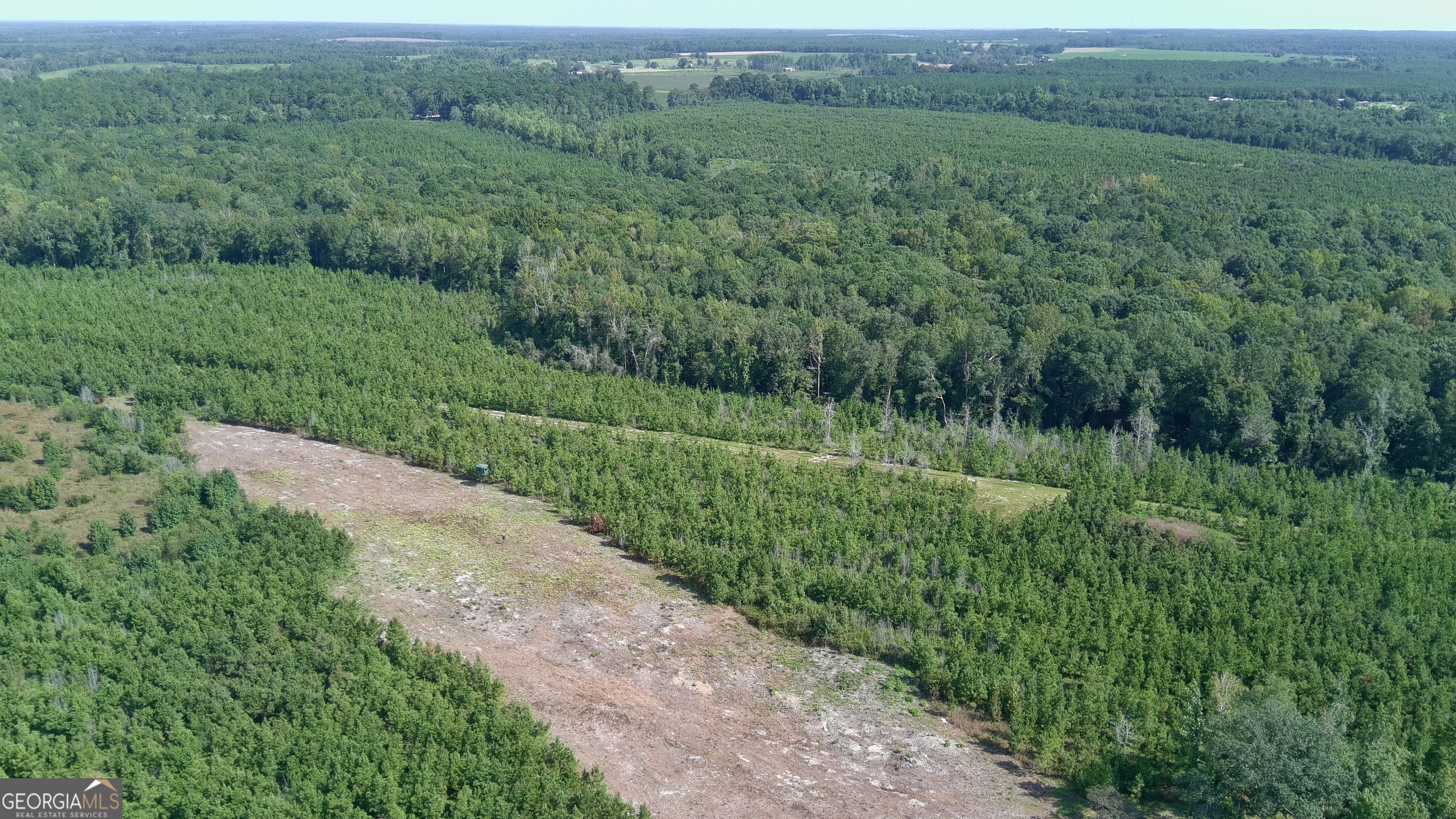 0 Bethel Church Road Eastman, GA 31023 - Photo 6 of 20