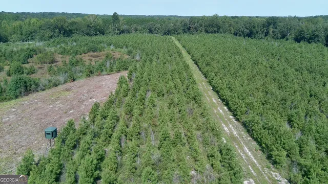 $522,852 | 0 Bethel Church Road, Eastman, GA 31023