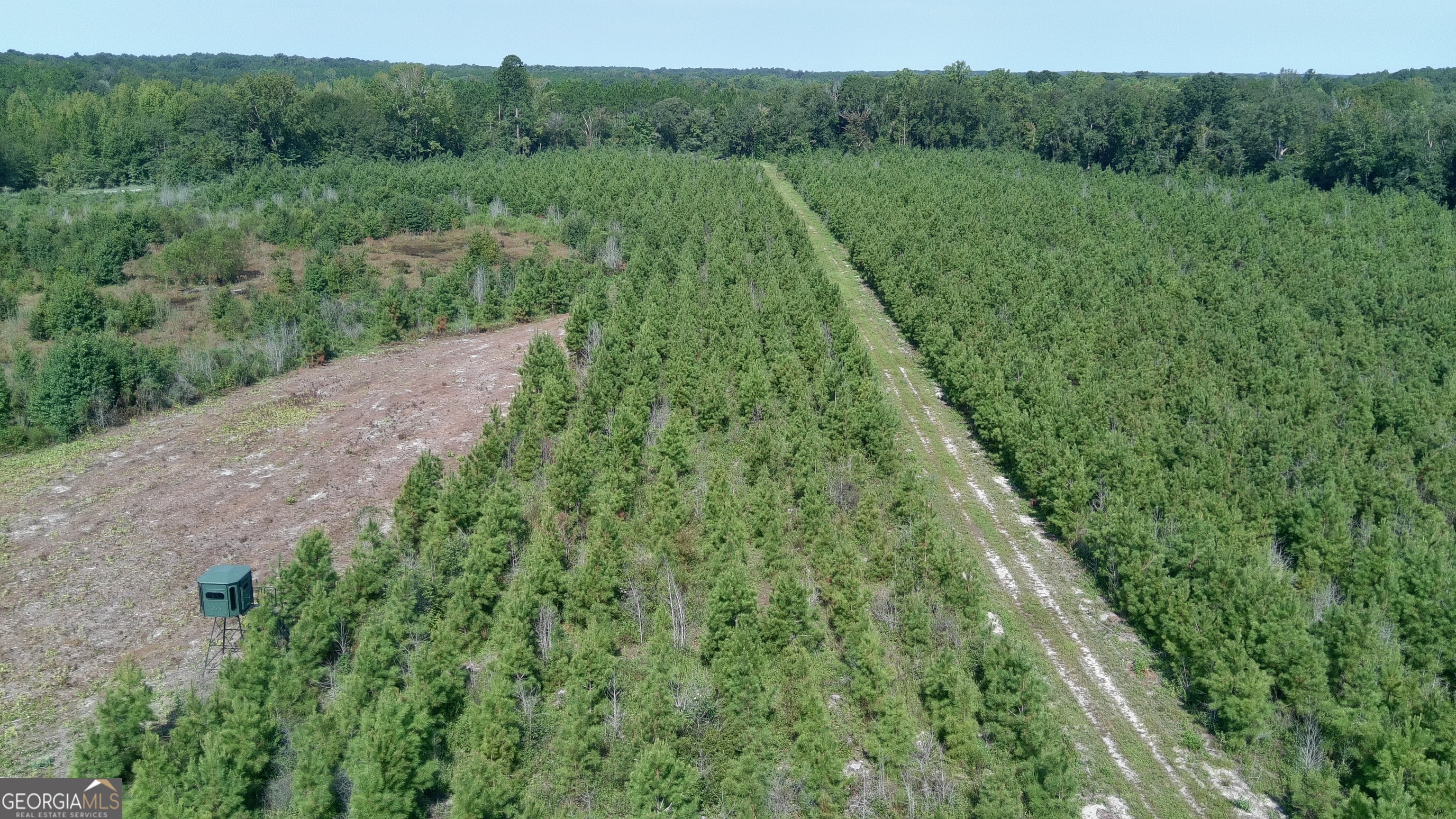 0 Bethel Church Road Eastman, GA 31023 - Photo 7 of 20