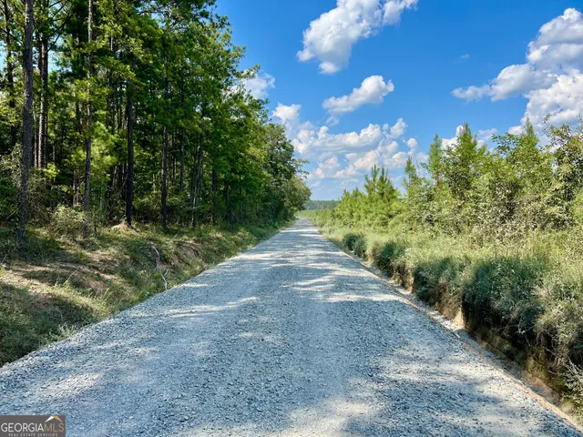 $522,852 | 0 Bethel Church Road, Eastman, GA 31023