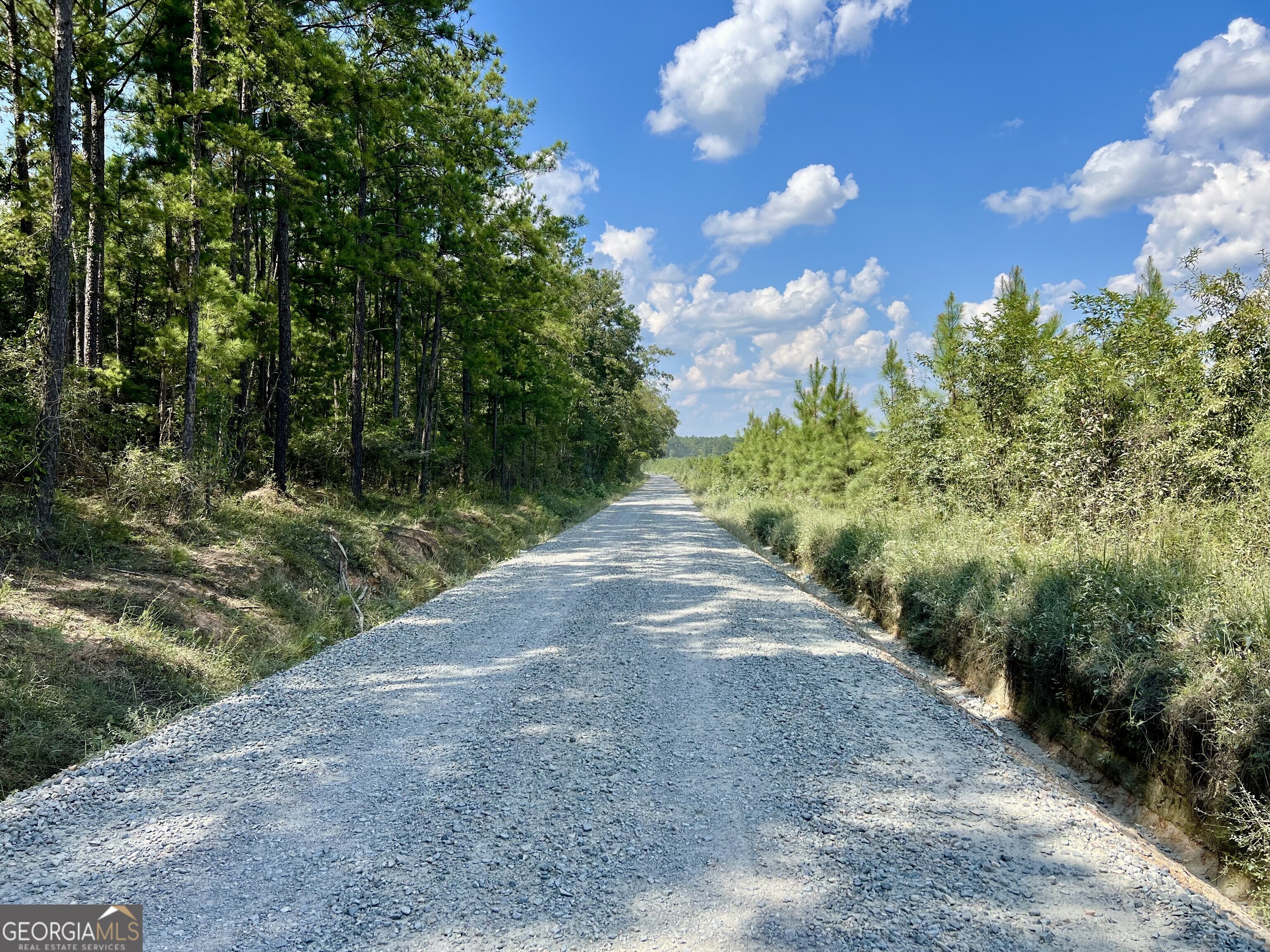 0 Bethel Church Road Eastman, GA 31023 - Photo 8 of 20