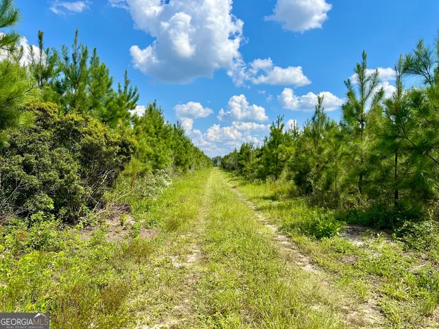 $522,852 | 0 Bethel Church Road, Eastman, GA 31023