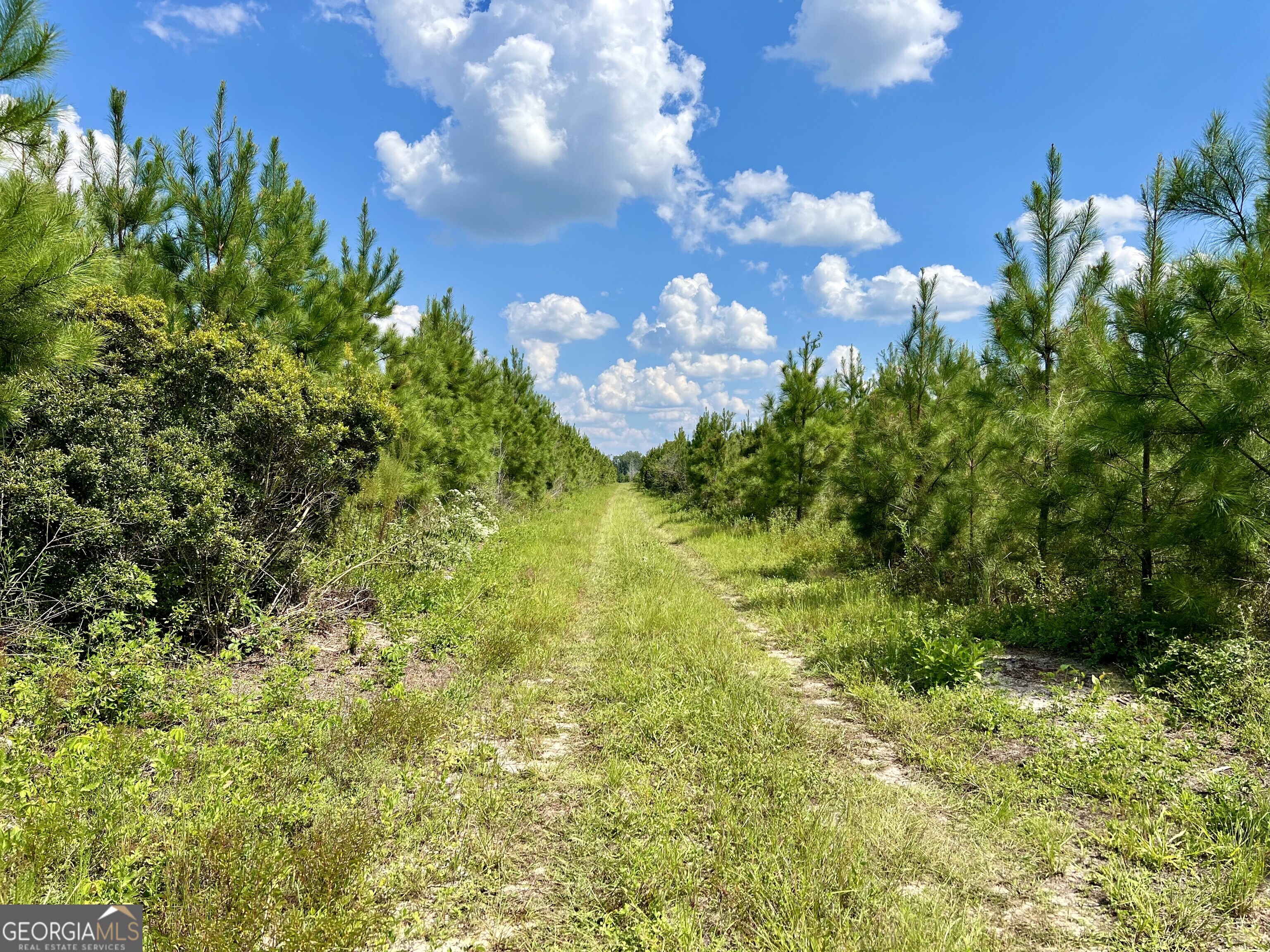 0 Bethel Church Road Eastman, GA 31023 - Photo 9 of 20