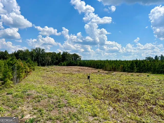 $522,852 | 0 Bethel Church Road, Eastman, GA 31023