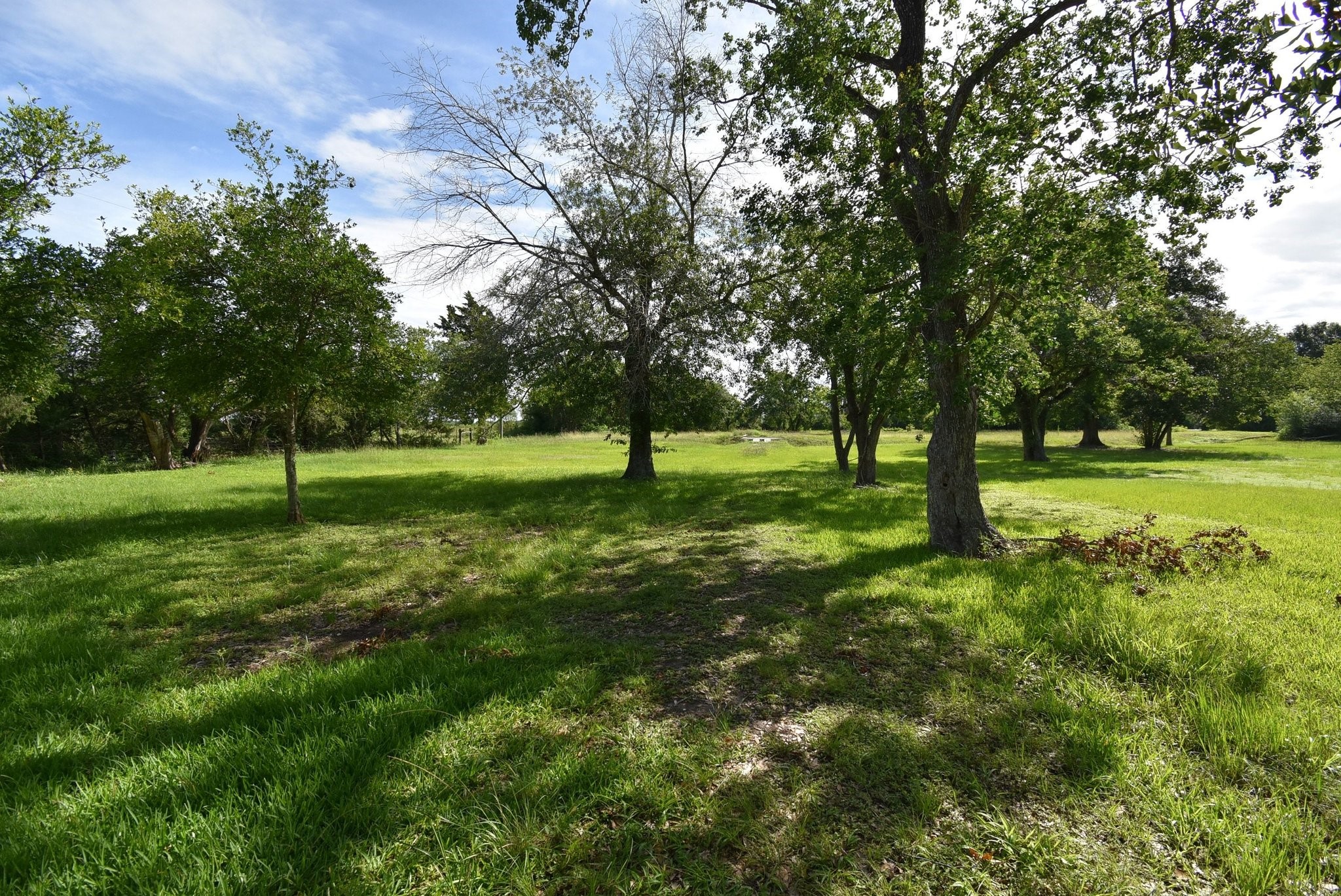 8421 Altimore Road Needville, TX 77461 - Photo 24 of 24