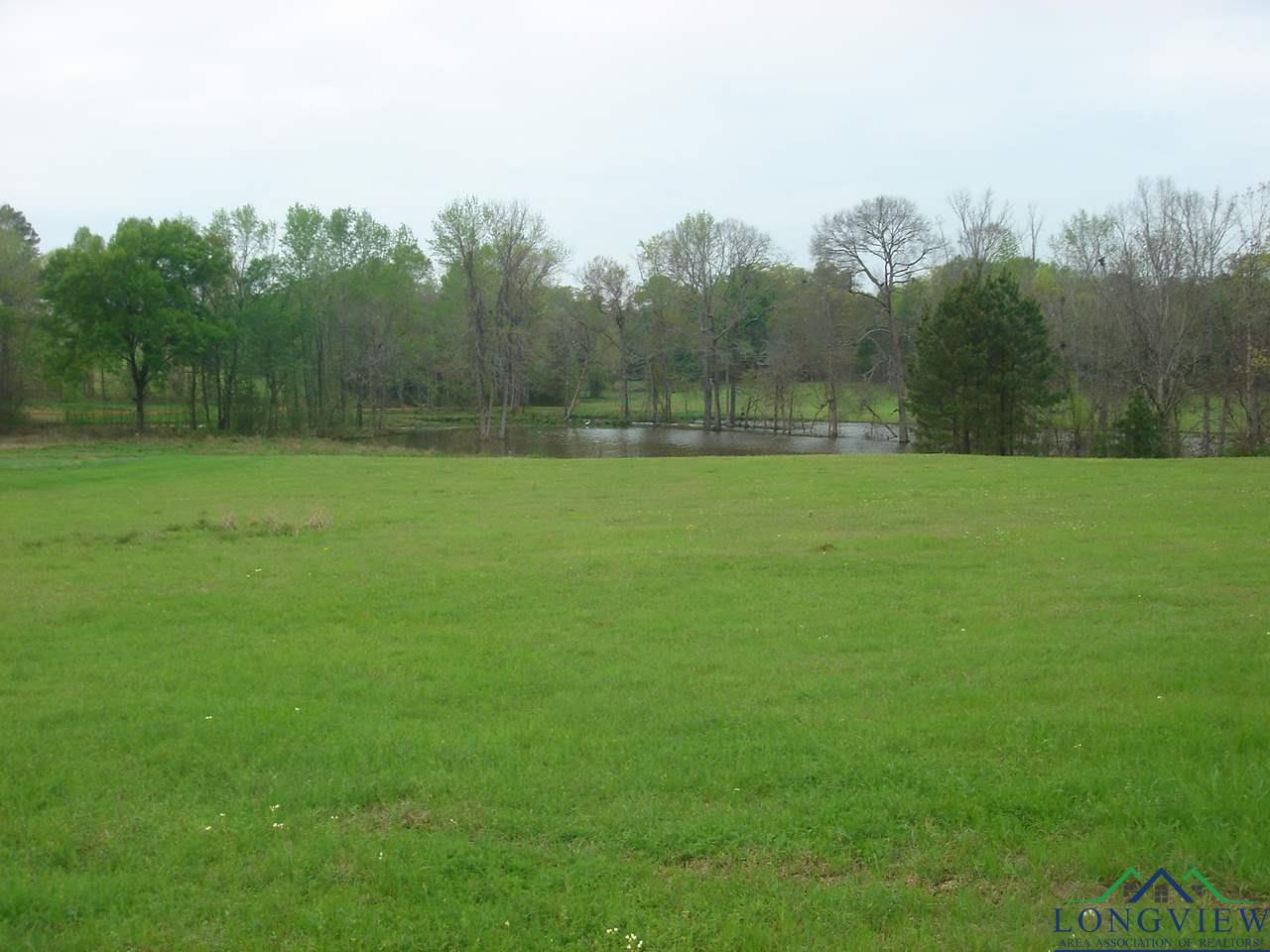 321 Kelly Ranch Road East Jefferson, TX 75657 - Photo 22 of 25 Gallery Image 22