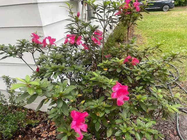 $292,000 | 9046 Tyler Avenue, Jacksonville, FL 32208