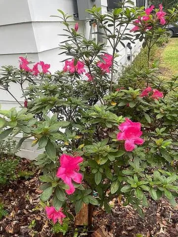 $292,000 | 9046 Tyler Avenue, Jacksonville, FL 32208