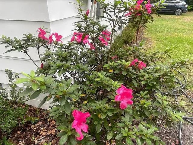 $292,000 | 9046 Tyler Avenue, Jacksonville, FL 32208