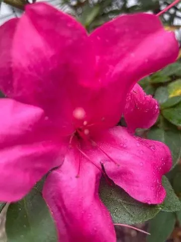 $292,000 | 9046 Tyler Avenue, Jacksonville, FL 32208