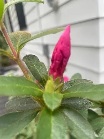 $292,000 | 9046 Tyler Avenue, Jacksonville, FL 32208