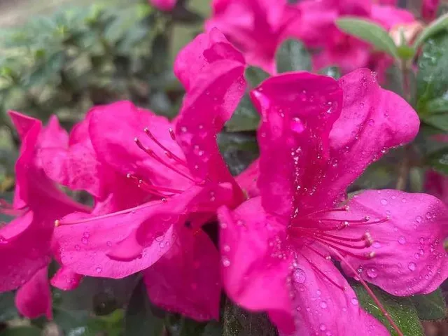 $292,000 | 9046 Tyler Avenue, Jacksonville, FL 32208